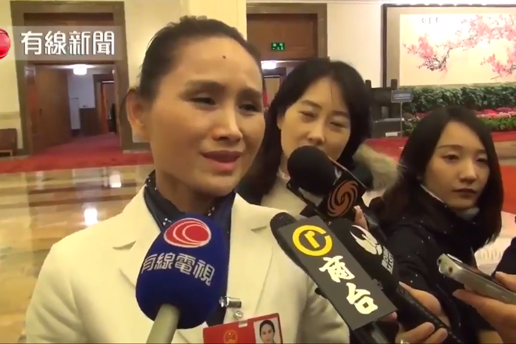 NPC Delegate Interview Shows Political Loyalty Culture in China